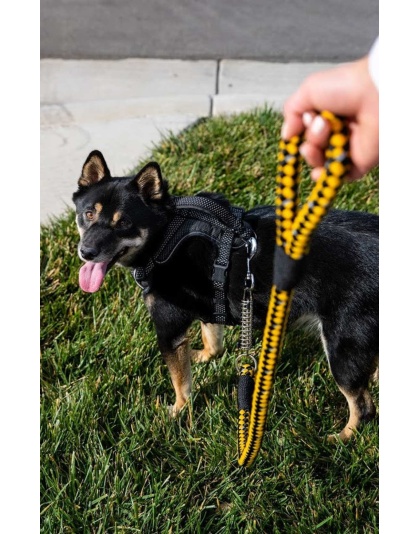 Bumblebee - Tug Control Leash with Reflectors & Shock Absorber - XL