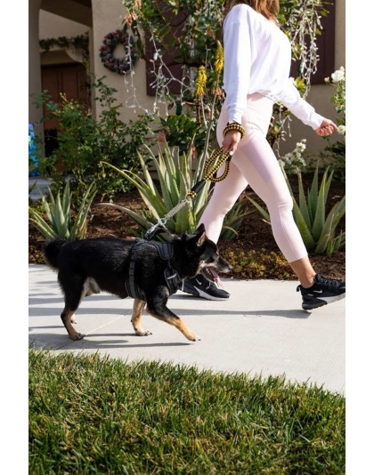 Bumblebee - Tug Control Leash with Reflectors & Shock Absorber - XL