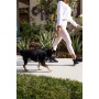Bumblebee - Tug Control Leash with Reflectors & Shock Absorber - XL