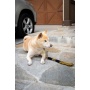 Bumblebee - Tug Control Leash with Reflectors & Shock Absorber - XL