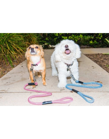 Kandy Kane - Tug Control Leash with Reflectors & Shock Absorber - XL