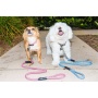 Kandy Kane - Tug Control Leash with Reflectors & Shock Absorber - XL