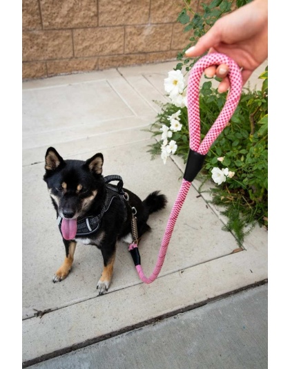 Kandy Kane - Tug Control Leash with Reflectors & Shock Absorber - XL