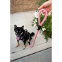 Kandy Kane - Tug Control Leash with Reflectors & Shock Absorber - XL