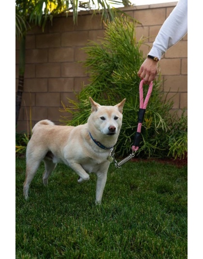 Kandy Kane - Tug Control Leash with Reflectors & Shock Absorber - XL