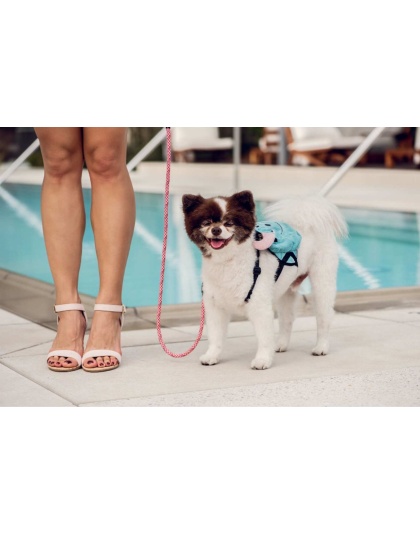 Kandy Kane - Tug Control Leash with Reflectors & Shock Absorber - XL
