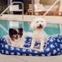 Anchors Away Pet Bed - M