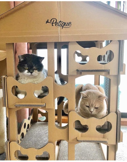 Feline Chateau Cat House