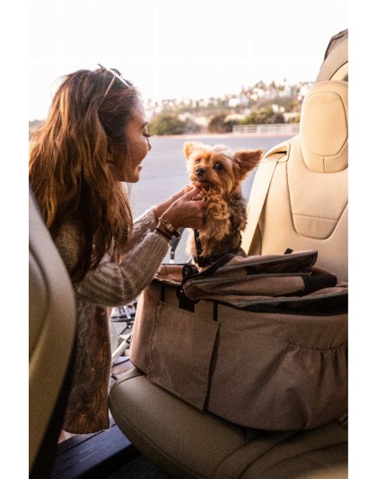 Champagne - Newport Pet Stroller (3-in-1 Travel System)