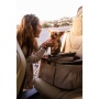 Champagne - Newport Pet Stroller (3-in-1 Travel System)