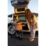 Champagne - Newport Pet Stroller (3-in-1 Travel System)