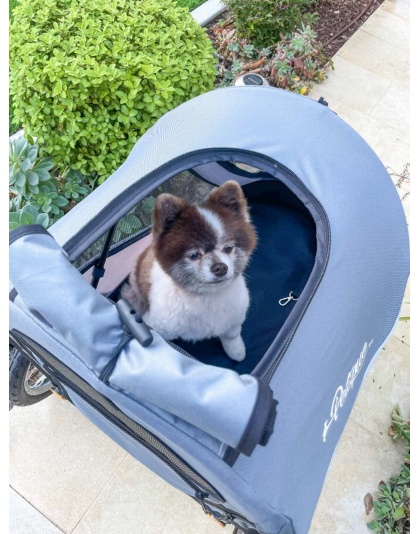 Space Gray - Trailblazer Pet Jogger