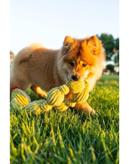 Tough Ball Python Pet Toy