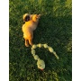 Tough Ball Python Pet Toy