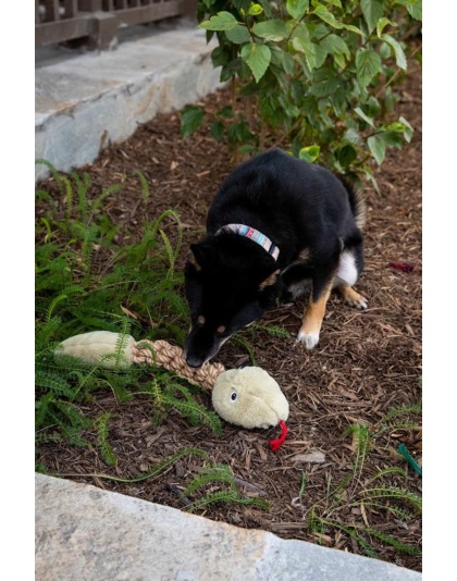 Tough Hemp Rattlesnake Pet Toy