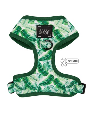 Verano - Adjustable Harness  - XSmall