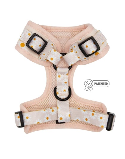 Dainty Daisy - Adjustable Harness  - XLarge
