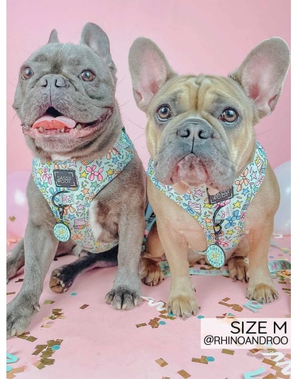 Pup Pup Hooray - Adjustable Harness  - XXSmall