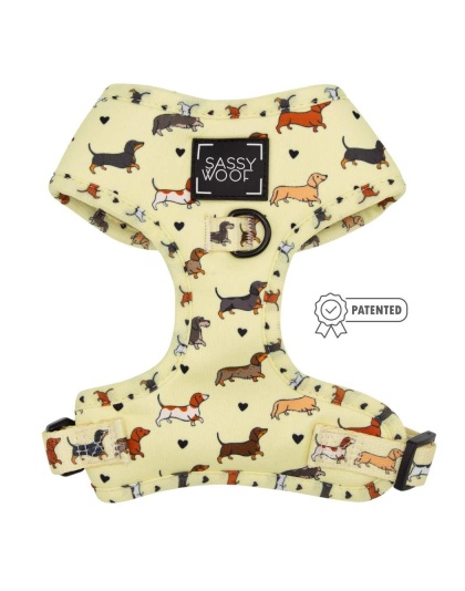 Doxie Delight - Adjustable Harness  - XXSmall