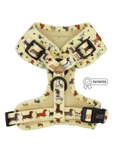 Doxie Delight - Adjustable Harness  - XXSmall