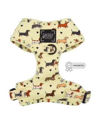 Doxie Delight - Adjustable Harness  - Medium