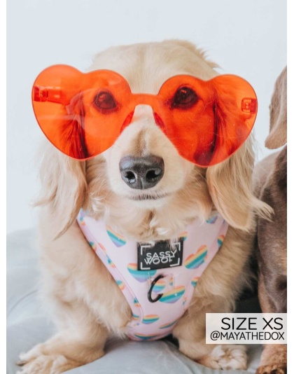 Paws of Love - Adjustable Harness  - Small