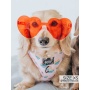 Paws of Love - Adjustable Harness  - Small