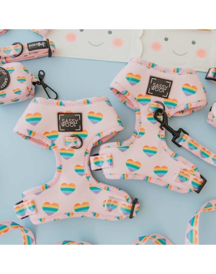 Paws of Love - Adjustable Harness  - XLarge