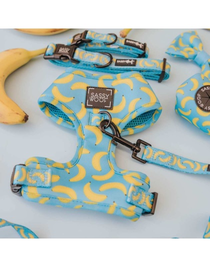 Peeling Sassy - Adjustable Harness  - XLarge