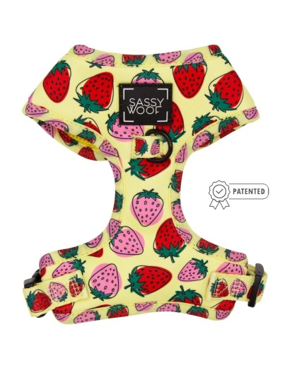 Strawberry Fields Furever - Adjustable Harness  - XXSmall