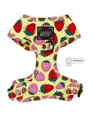 Strawberry Fields Furever - Adjustable Harness  - Small