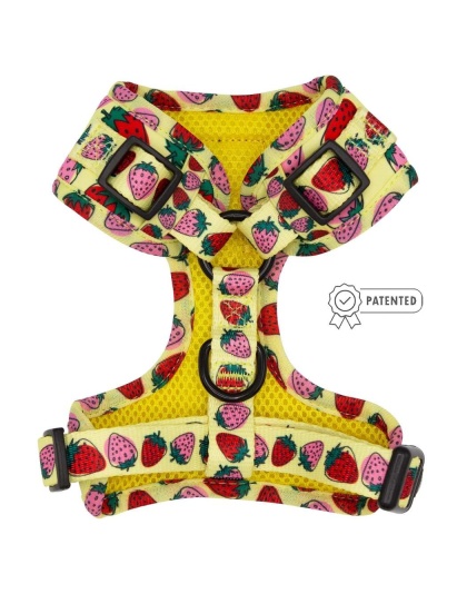 Strawberry Fields Furever - Adjustable Harness  - XSmall