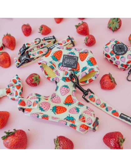 Strawberry Fields Furever - Adjustable Harness  - XXSmall