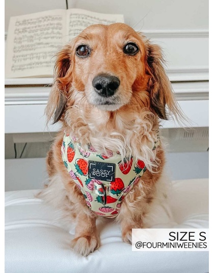 Strawberry Fields Furever - Adjustable Harness  - Small