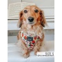 Strawberry Fields Furever - Adjustable Harness  - Small