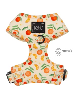 Simply the Zest - Adjustable Harness  - XXSmall