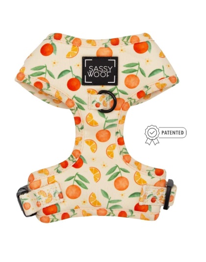 Simply the Zest - Adjustable Harness  - XXSmall