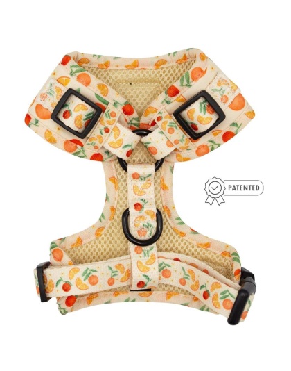 Simply the Zest - Adjustable Harness  - XXSmall