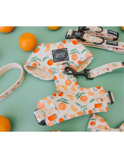 Simply the Zest - Adjustable Harness  - XXSmall