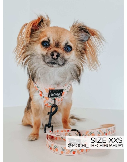 Simply the Zest - Adjustable Harness  - XXSmall