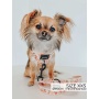 Simply the Zest - Adjustable Harness  - XXSmall