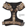 Sass Gone Wild - Adjustable Harness  - XXSmall