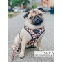 Sass Gone Wild - Adjustable Harness  - XXSmall