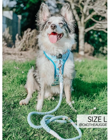 Daddy's Boy - Adjustable Harness  - XLarge