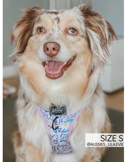 Daddy's Girl - Adjustable Harness  - XXSmall