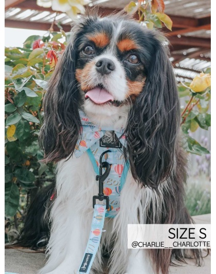 Mama's Boy - Adjustable Harness  - XLarge
