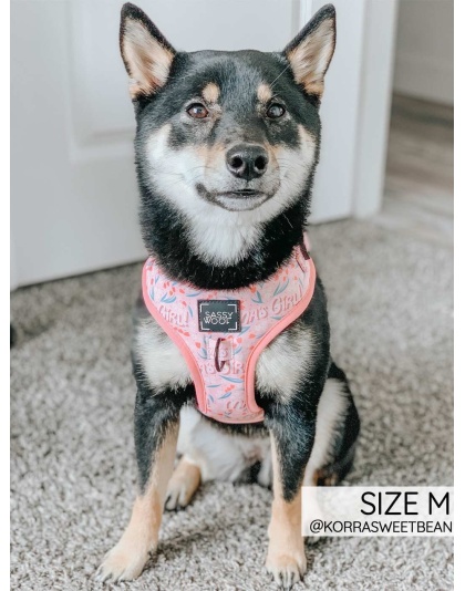 Mama's Girl - Adjustable Harness  - XSmall
