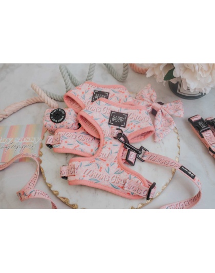 Mama's Girl - Adjustable Harness  - XXSmall