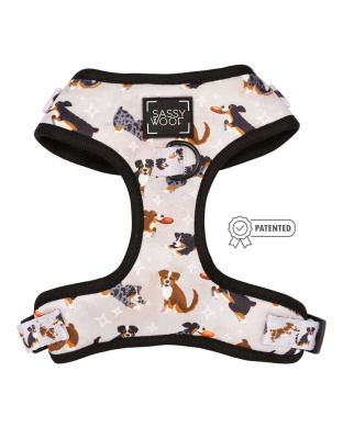 Too Much Auss - Adjustable Harness  - Medium