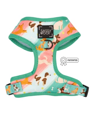 Oodles of Doodles - Adjustable Harness  - XSmall